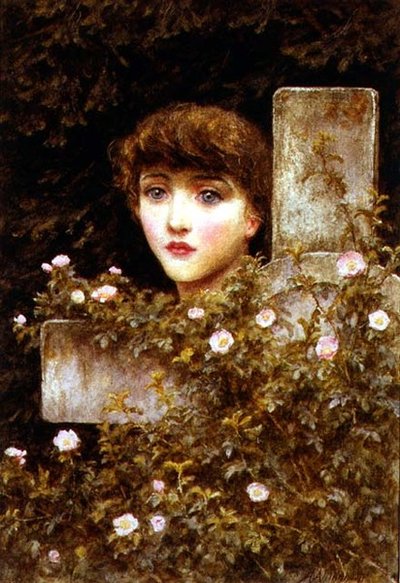 Dolore - Una Rosa Selvatica da Helen Allingham