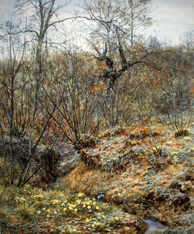 Boschetto primaverile, Witley, Surrey da Helen Allingham