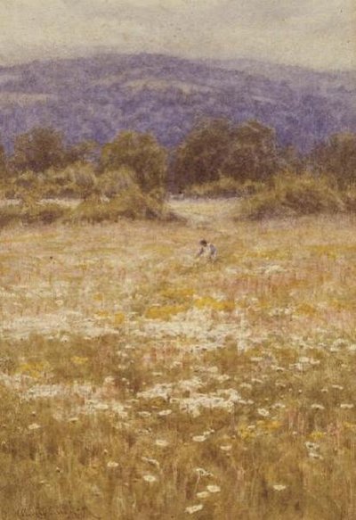 Fiori Estivi da Helen Allingham