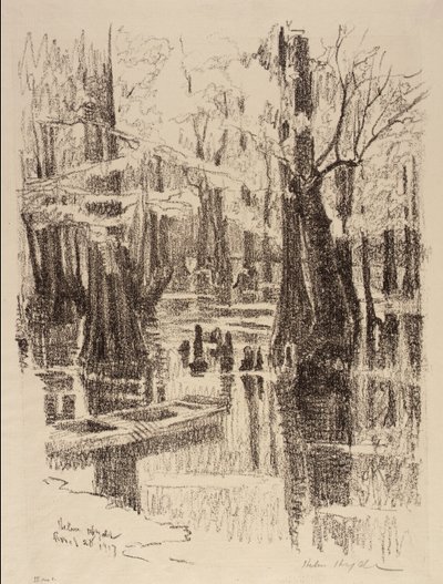Palude dei cipressi da Helen Hyde