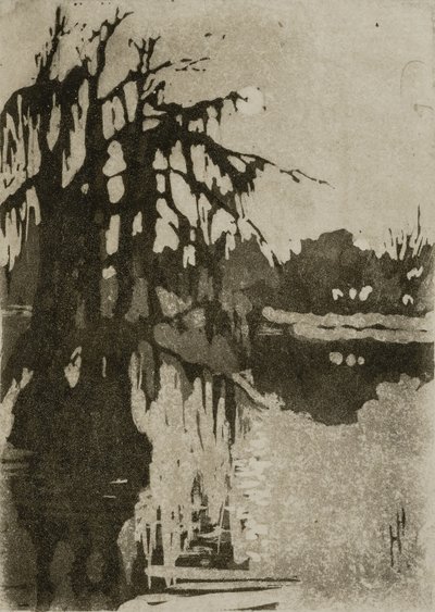 Cipressi da Helen Hyde