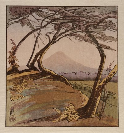 Monte Orizaba da Helen Hyde