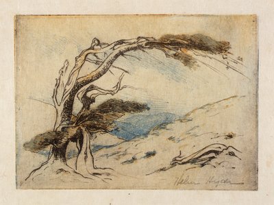 La sopravvivenza del più adatto da Helen Hyde