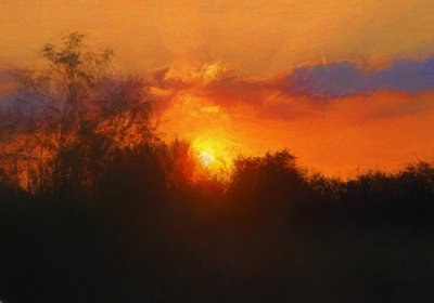 Dopo Turner I da Helen White