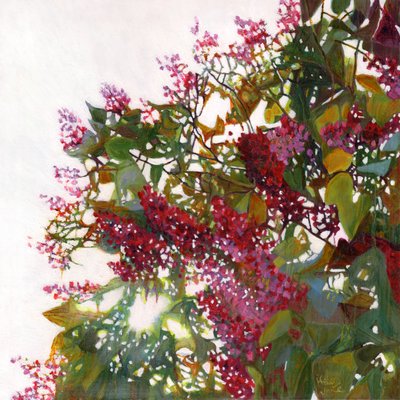 Splendente da Helen White