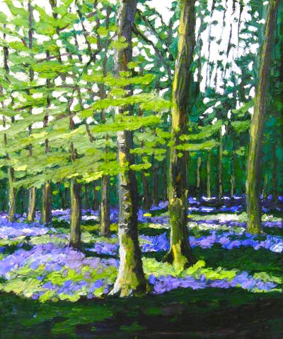Bluebell Wood, 2009 (olio su tela) da Helen White