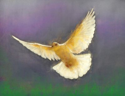 Portatore di pace da Helen White