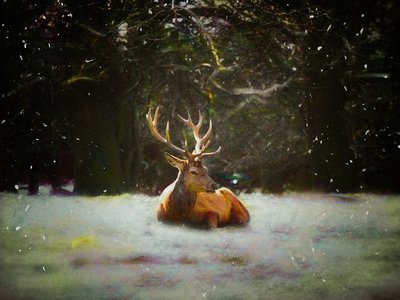 Cervo di Natale da Helen White