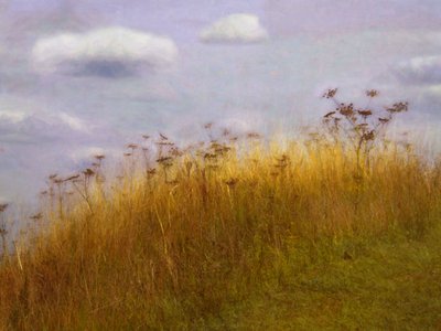 Alla deriva, 2019 da Helen White