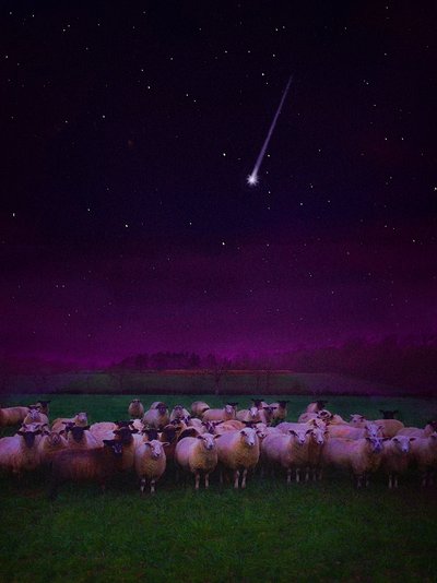 Gregge di Notte da Helen White