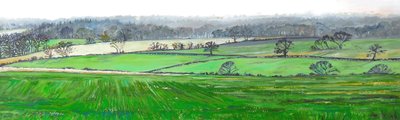 Dalla cima di Farley Hill, 2008 da Helen White