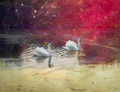 Lago ghiacciato da Helen White