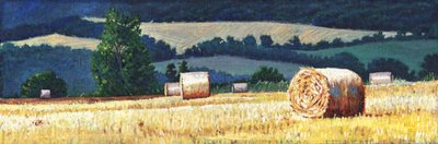 Balle di fieno su una collina da Helen White