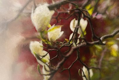 Magnolia, 2018 da Helen White