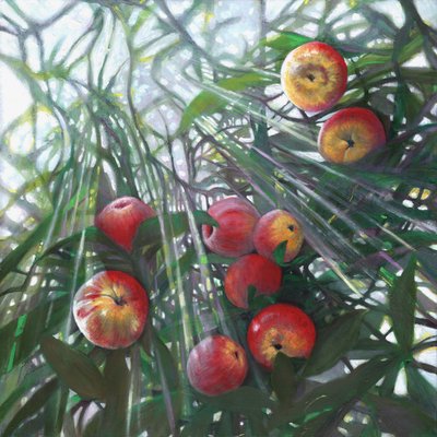 Nuova luce su Eden, 2016 da Helen White