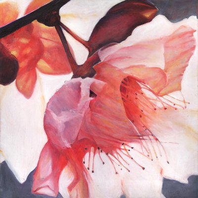 Danza Shakti, 2016 da Helen White