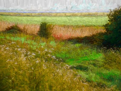 Prato estivo, 2019 da Helen White