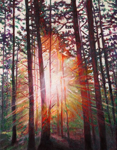 Esplosione Solare, 2010 da Helen White