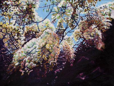 Glicine bianco, 2012 da Helen White
