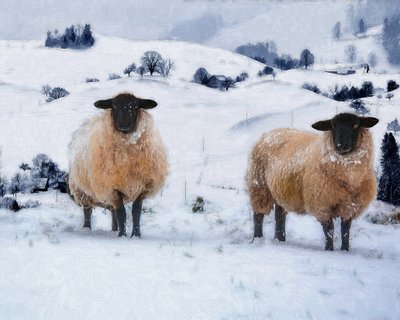 Cappotti Invernali da Helen White