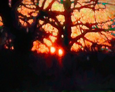 Luce invernale da Helen White