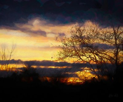 Fine dell