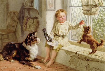Amici da Helena J. Maguire