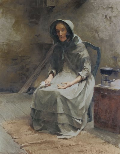 Rosa d