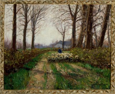 Gregge di pecore da Helmuth Liesegang