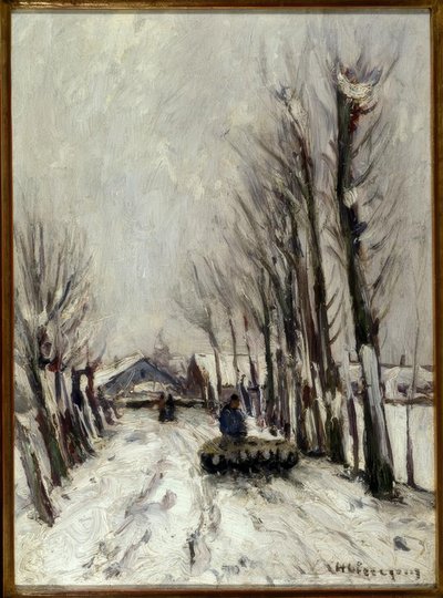 Gregge di pecore in inverno da Helmuth Liesegang
