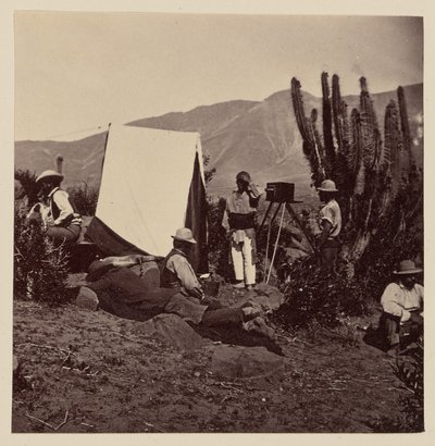 Scene, Tamaya, Tongoy ecc. da Helsby and Co.