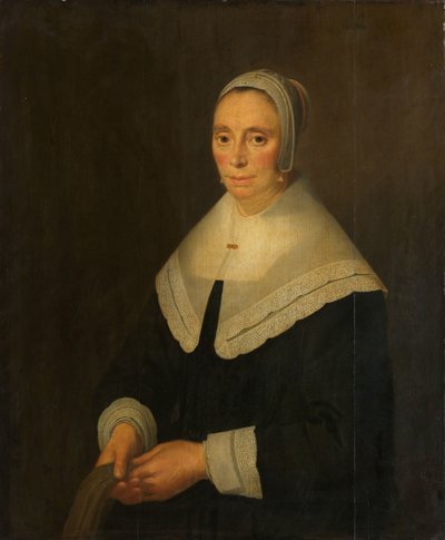 Ritratto di una donna da Hendrick Cornelisz van Vliet
