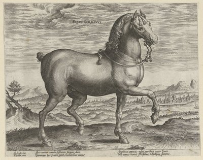 Stallone dalla Germania da Hendrick Goltzius (possibly)