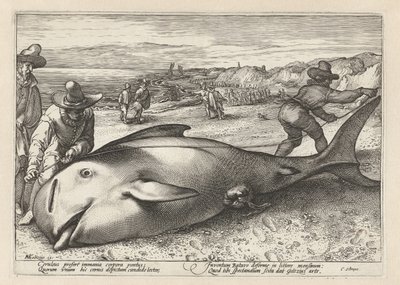 Due uomini misurano una balena arenata da Hendrick Goltzius (workshop of)