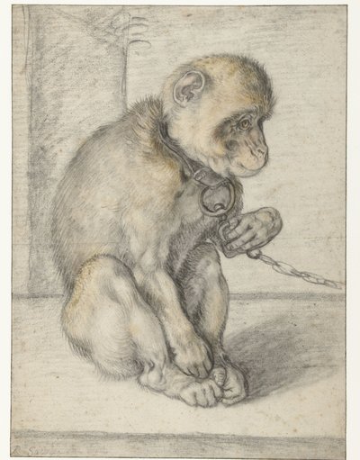 Scimmia seduta su una catena da Hendrick Goltzius