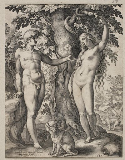 Adamo ed Eva da Hendrick Goltzius