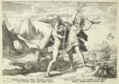 Dafne trasformata in un albero di alloro da Hendrick Goltzius