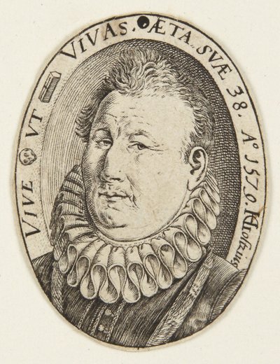 Gerrit Jansz. van Schooten da Hendrick Goltzius