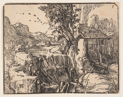 Paesaggio con cascata da Hendrick Goltzius