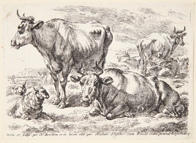 Ritratto di un membro della famiglia Out. Cornelis Out (?) da Hendrick Goltzius