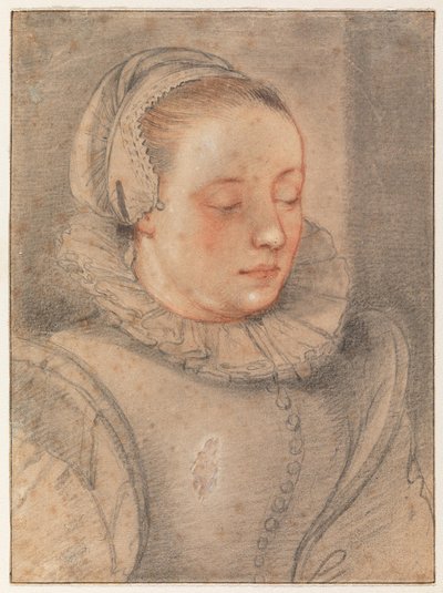 Ritratto di una giovane donna da Hendrick Goltzius