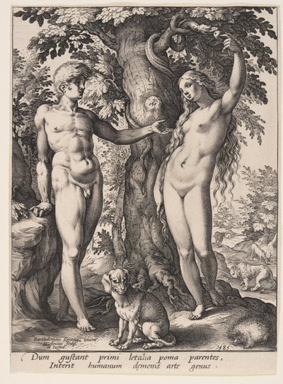 La caduta dell