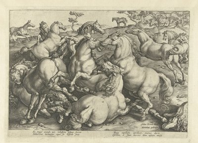 Dodici cavalli in lotta da Hendrick Goltzius