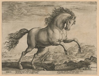 Cavallo selvaggio da Hendrick Goltzius