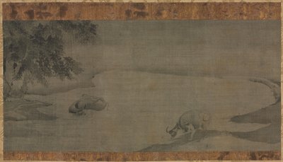 Bufalo d