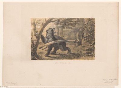 Orso in una trappola da Hendrik Adriaan Christiaan Dekker