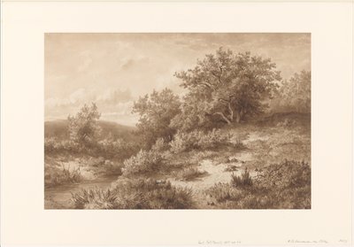 Paesaggio con ruscello e cespugli da Hendrik Dirk Kruseman van Elten