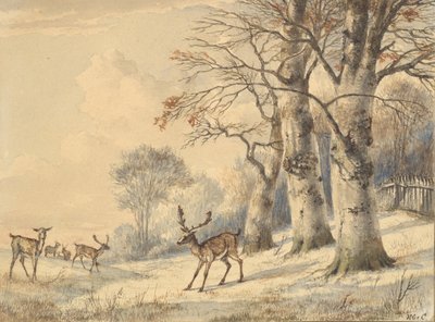 Cervi sotto faggi in estate, 1853 da Hendrik Gerrit ten Cate
