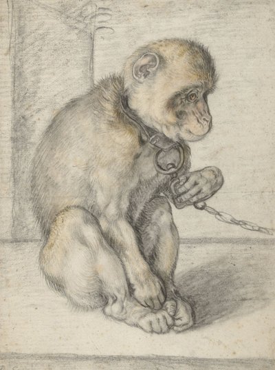 Scimmia seduta su una catena da Hendrik Goltzius