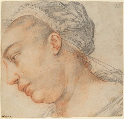 Testa di una Giovane Donna da Hendrik Goltzius